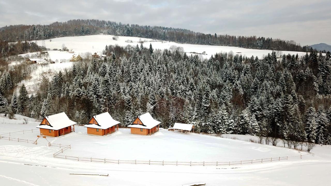 Chatki Niwki U Zboja Krościenko Exterior foto