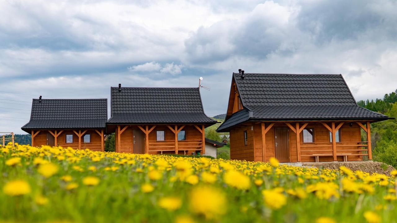 Chatki Niwki U Zboja Krościenko Exterior foto